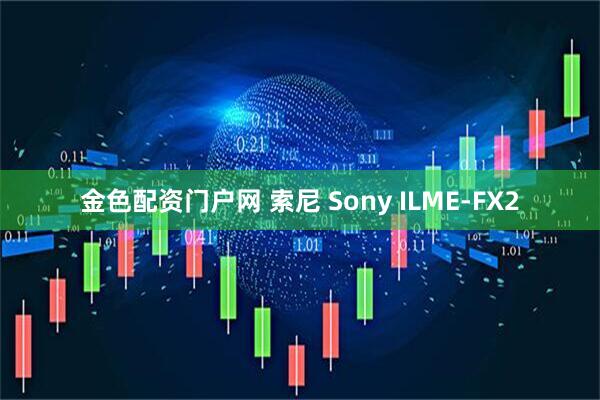 金色配资门户网 索尼 Sony ILME-FX2
