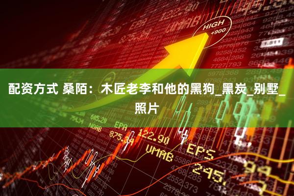 配资方式 桑陌：木匠老李和他的黑狗_黑炭_别墅_照片